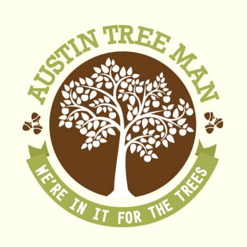 Austin logo design